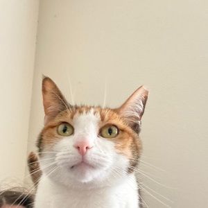 Meet your Posher, Jakob